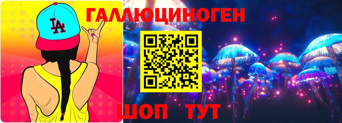 Галлюциногенные грибы Psilocybine cubensis Симферополь